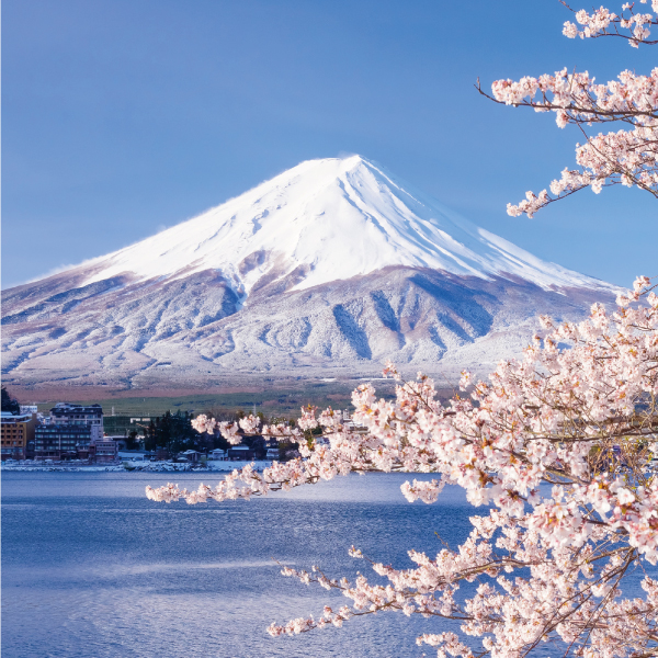 Teranishi Mt. Fuji Fountain Pen Ink 12ml